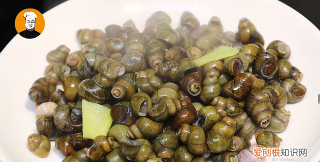 香辣螺蛳怎么炒又入味又好吸,炒螺蛳螺蛳盖子不掉是什么原因