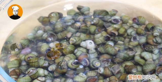 香辣螺蛳怎么炒又入味又好吸,炒螺蛳螺蛳盖子不掉是什么原因