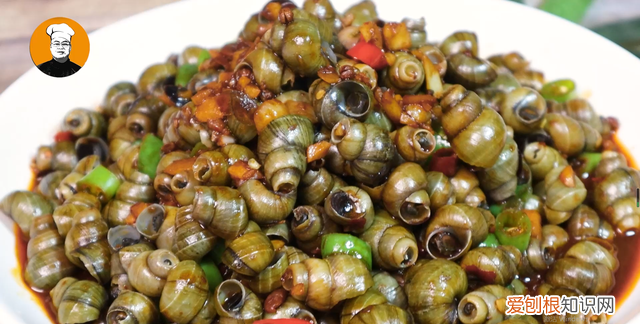 香辣螺蛳怎么炒又入味又好吸,炒螺蛳螺蛳盖子不掉是什么原因