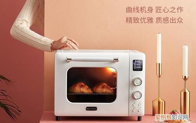 烤箱烤肉时水箱用加水吗,用烤箱烤肉用下加热还是应上加热