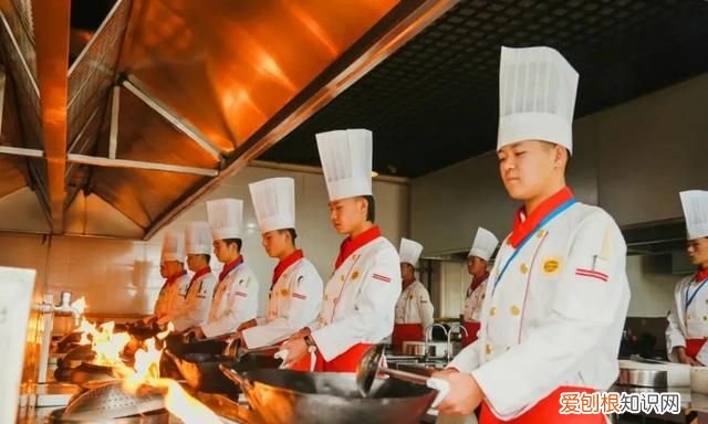 真正的大厨,炒菜不用火这是什么电视剧