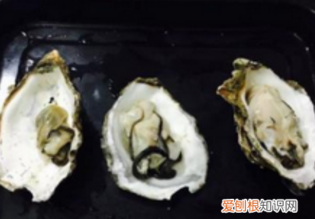 生蚝吃什么,生蚝吃哪个部位示范图