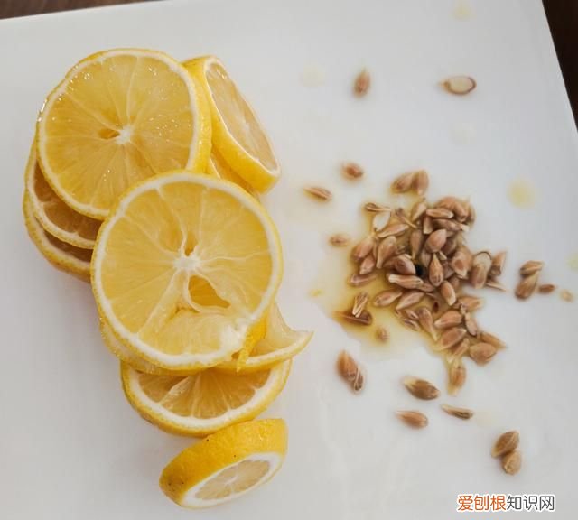 美白养颜百香果柠檬蜜