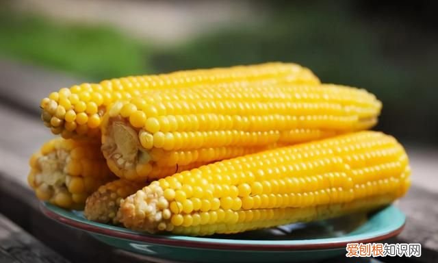 玉米放冰箱冷冻要怎么做比较新鲜