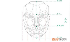 标准的脸型黄金比例，黄金比例脸型模板透明p图