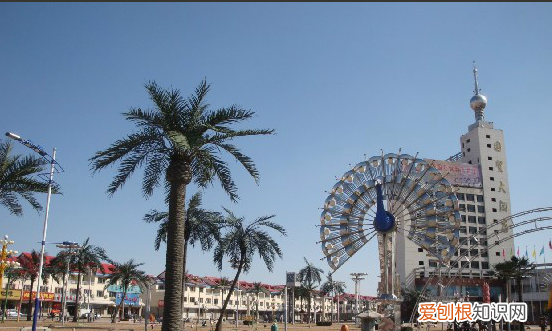 千年药都关汉卿故里,安国祁州酒与关汉卿酒区别