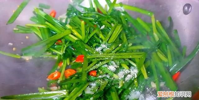 教你炒韭菜不老的方法