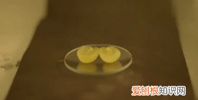 哪些食物放微波炉会爆炸