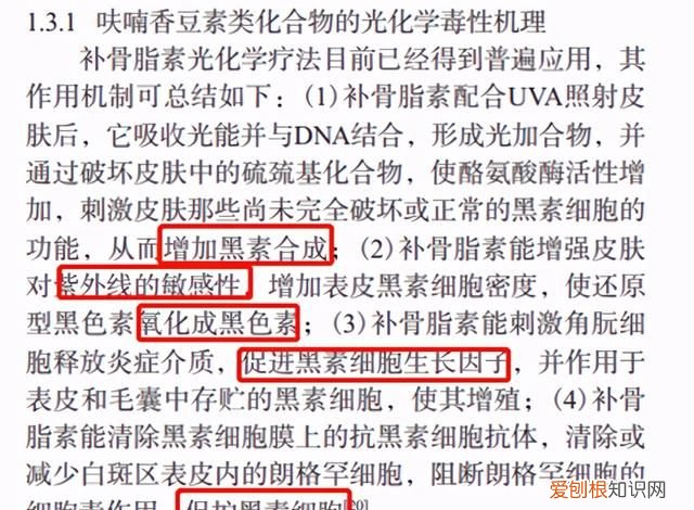 柠檬水晚上喝还是白天喝美白 柠檬水白天喝会晒黑吗