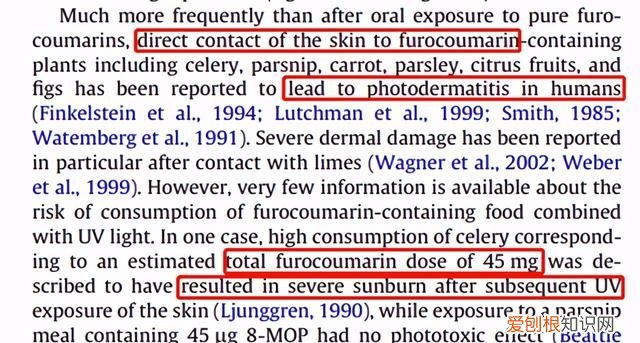 柠檬水晚上喝还是白天喝美白 柠檬水白天喝会晒黑吗