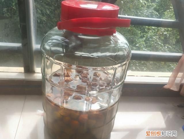 新鲜酸梅怎么腌制才会脆脆的呢