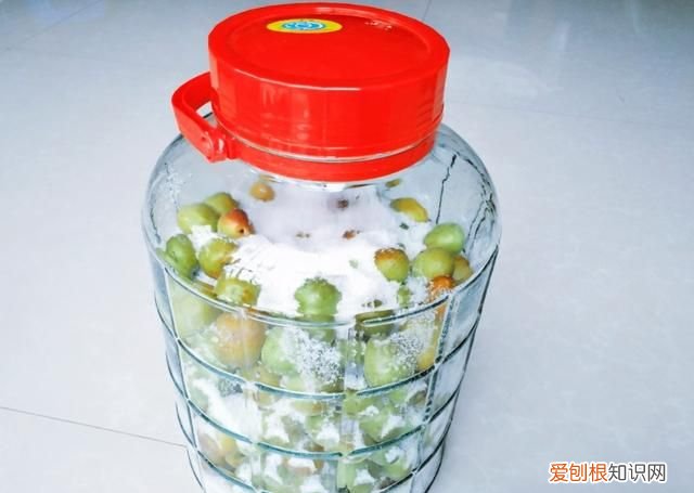 新鲜酸梅怎么腌制才会脆脆的呢