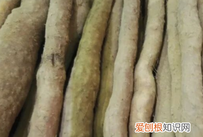 怀山药和淮山药的区别