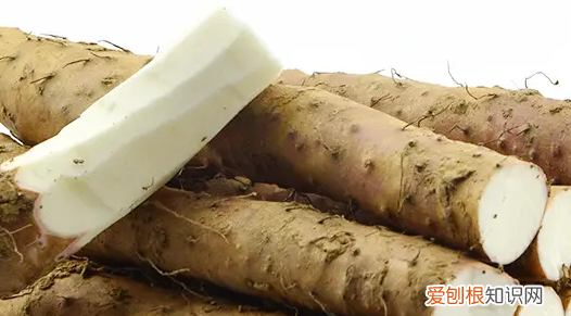 怀山药和淮山药的区别