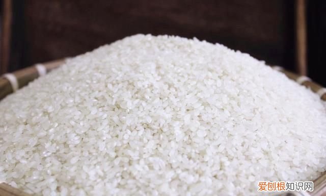 超市买的大米多长时间不会长虫