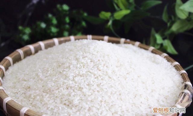 超市买的大米多长时间不会长虫