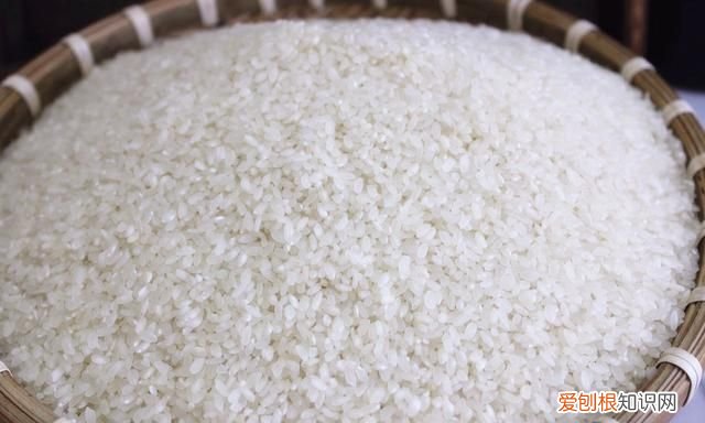 超市买的大米多长时间不会长虫