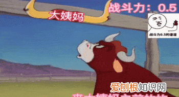 非经期游泳能用卫生棉条防感染吗 经期棉条可以用什么替代