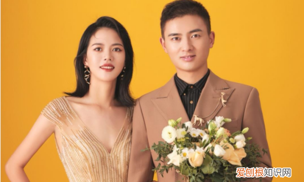 官宣什么意思，官宣是什么意思