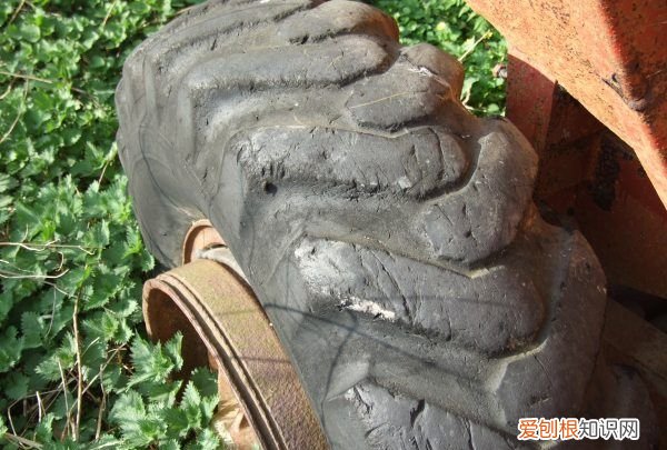 前后轮胎不同品牌可以