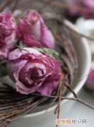 午夜伤心的玫瑰是什么梗，姐是午夜伤感的玫瑰什么意思