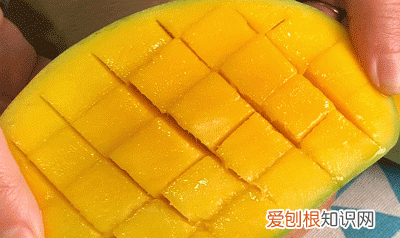 芒果小台芒香甜,芒果贵妃芒和小台芒