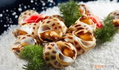海螺一般要煮几分钟才没有寄生虫 海螺怎么烹饪能彻底杀死寄生虫