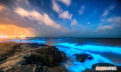 福建平潭蓝眼泪踏浪而来的爆款ip