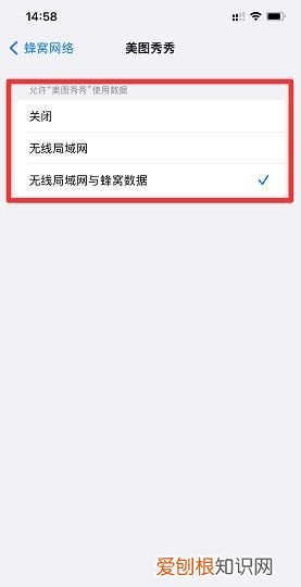 苹果手机文件怎么打开，苹果手机打开APP联网的方法