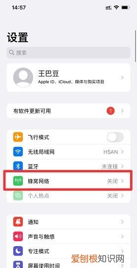 苹果手机文件怎么打开，苹果手机打开APP联网的方法