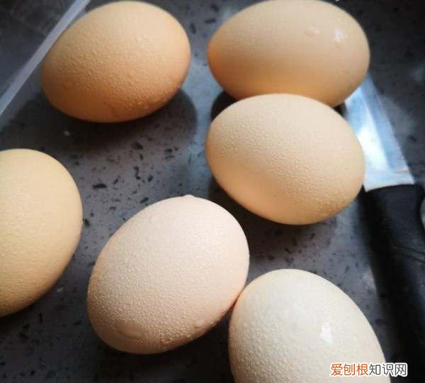 如何做酸菜鸡蛋馅,酸菜鸡蛋包子馅怎么做好吃窍门