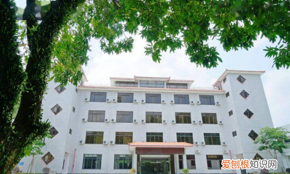 专插本可以报考什么学校，在广东专插本可以报考哪些学校