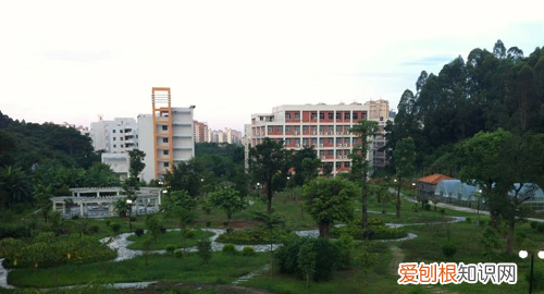 专插本可以报考什么学校,在广东专插本可以报考哪些学校