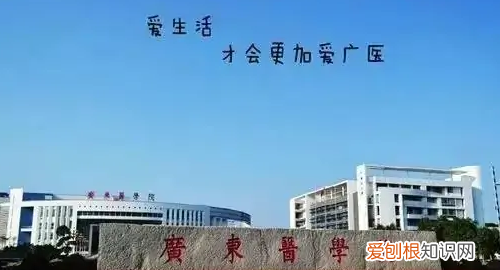 专插本可以报考什么学校,在广东专插本可以报考哪些学校