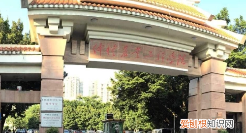 专插本可以报考什么学校,在广东专插本可以报考哪些学校