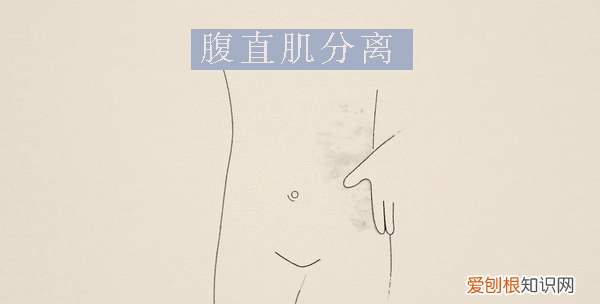 腹直肌分离还可以练出腹肌吗,腹直肌分离怎么练腹肌