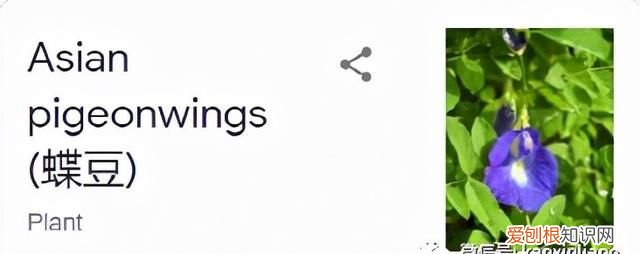 天空之境果冻的制作方法,梦幻果冻做法教程