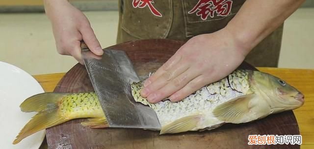 吃什么骨头或者肉可以提高免疫力 中老年要多吃3种肉提高免疫力