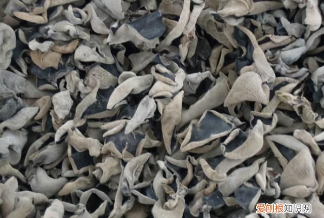 购买木耳的正确方法 购买木耳需要知道的问题
