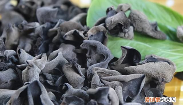 购买木耳的正确方法 购买木耳需要知道的问题