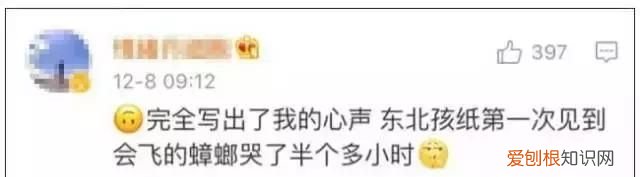 北方人遇到南方蟑螂的奇葩事,当北方蟑螂遇到南方蟑螂配音