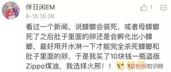 北方人遇到南方蟑螂的奇葩事,当北方蟑螂遇到南方蟑螂配音