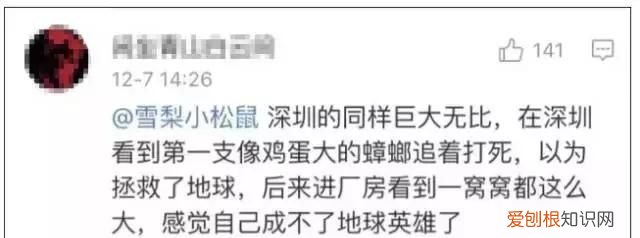 北方人遇到南方蟑螂的奇葩事,当北方蟑螂遇到南方蟑螂配音