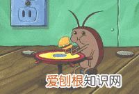 北方人遇到南方蟑螂的奇葩事,当北方蟑螂遇到南方蟑螂配音