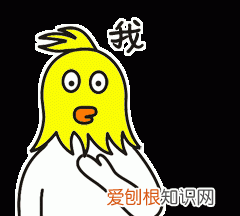 北方人遇到南方蟑螂的奇葩事,当北方蟑螂遇到南方蟑螂配音