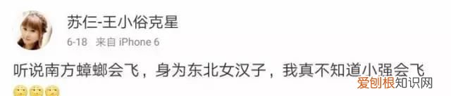 北方人遇到南方蟑螂的奇葩事,当北方蟑螂遇到南方蟑螂配音