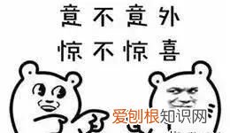 北方人遇到南方蟑螂的奇葩事,当北方蟑螂遇到南方蟑螂配音