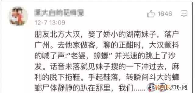 北方人遇到南方蟑螂的奇葩事,当北方蟑螂遇到南方蟑螂配音