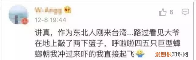 北方人遇到南方蟑螂的奇葩事,当北方蟑螂遇到南方蟑螂配音