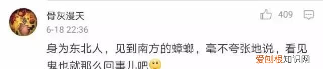 北方人遇到南方蟑螂的奇葩事,当北方蟑螂遇到南方蟑螂配音